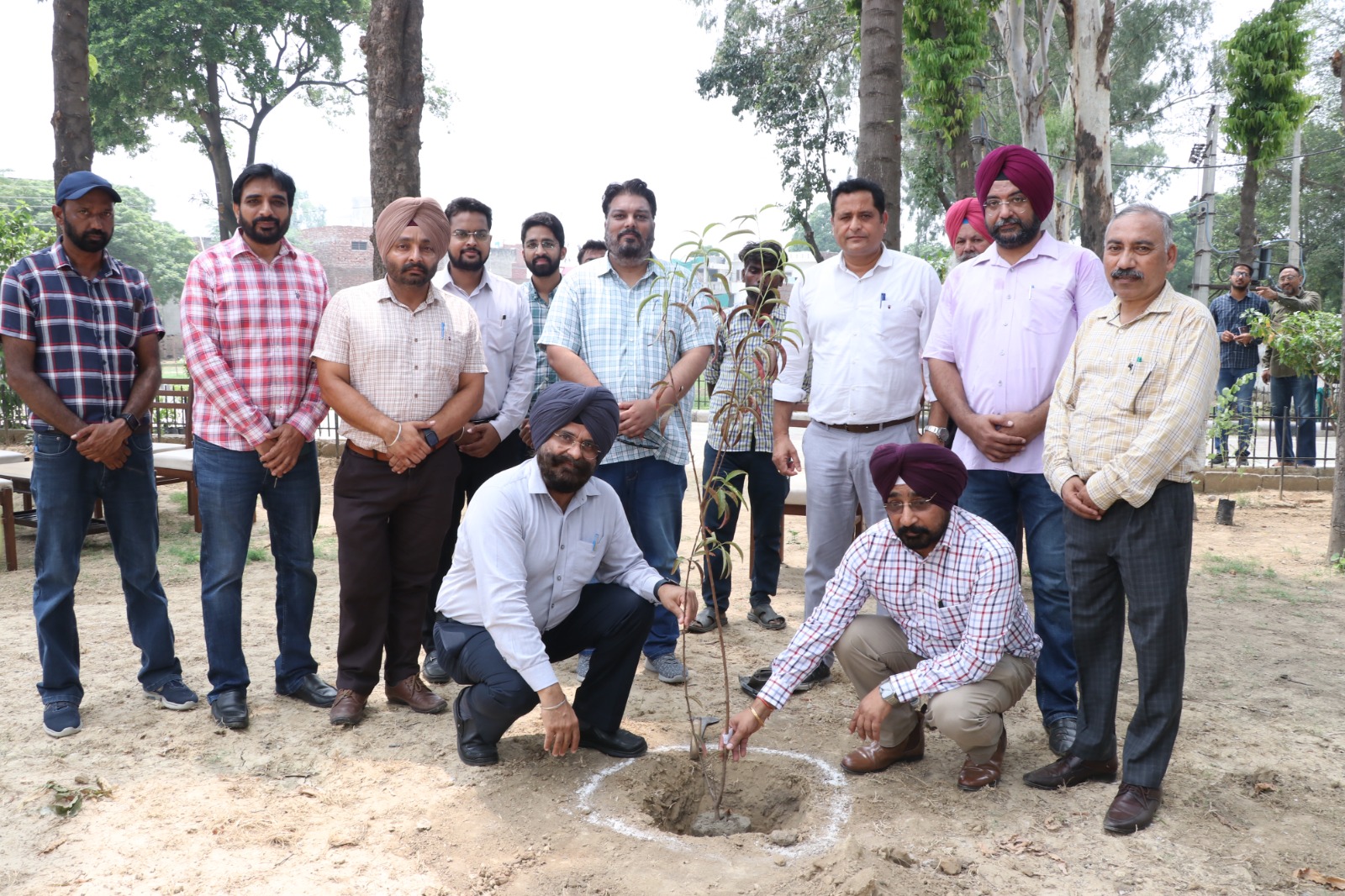 Planting campaign started by HRD wing of PSPCL